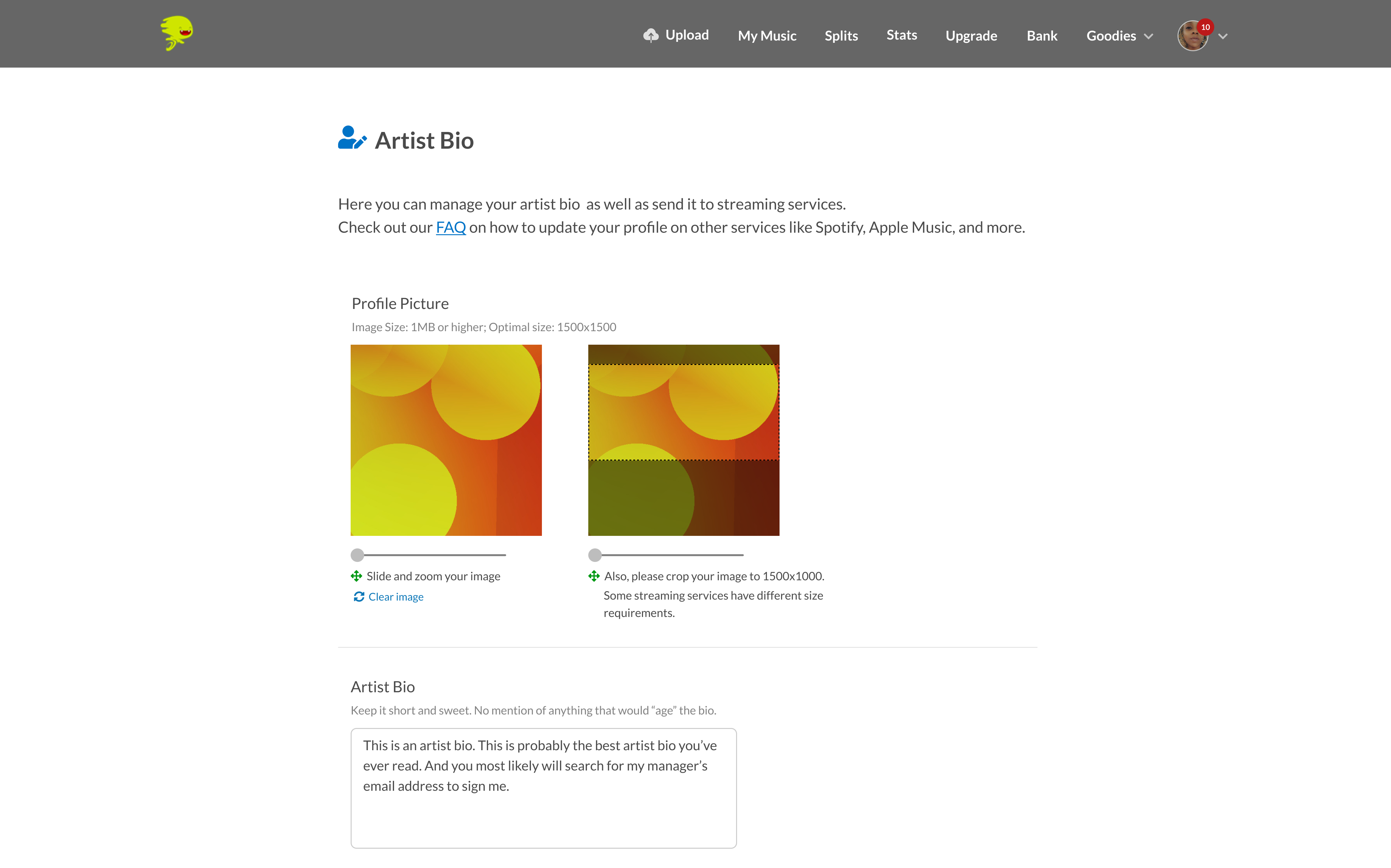 Artist bio desktop view